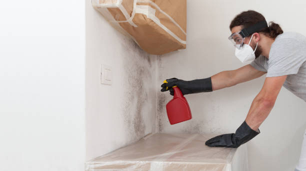 Professional Attic Mold Removal technician working in Teterboro, NJ