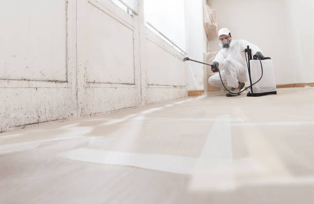 24/7 Emergency Attic Mold Removal experts in Teterboro, NJ