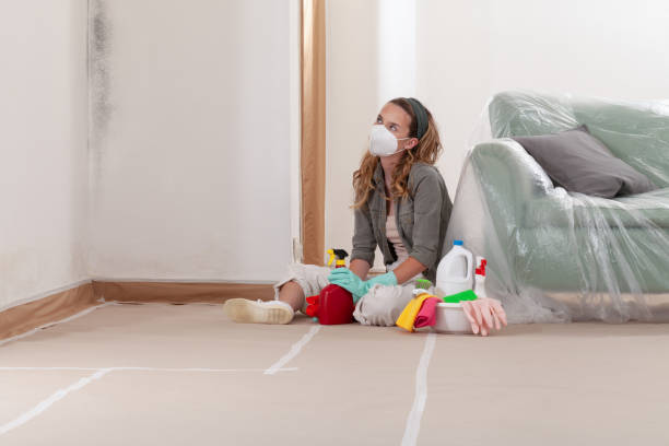 Reliable Attic Mold Removal contractor in Teterboro, NJ by WQB Mold Removal