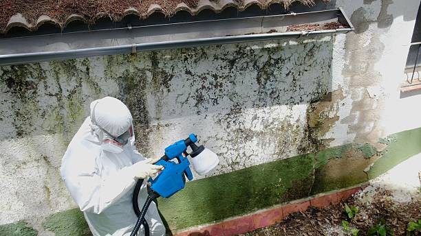 Top rated local Attic Mold Removal specialists in Teterboro, NJ